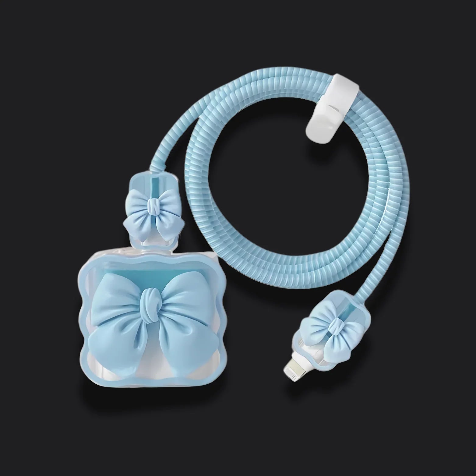 iPhone Charger & Cable Protector Set